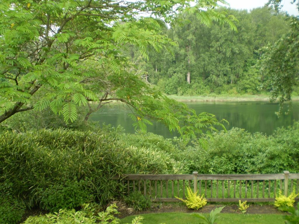 Lewis River Inn Woodland Zimmer foto